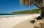 People enjoying the beach at Noosa Main Beach