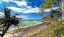 Noosa National Park - beach scape