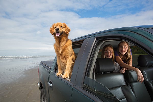 car on beach with dog and 2 children