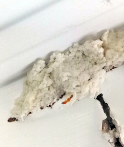 indoor termite baiting system