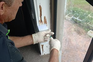 How do Termite Baiting Systems Work?