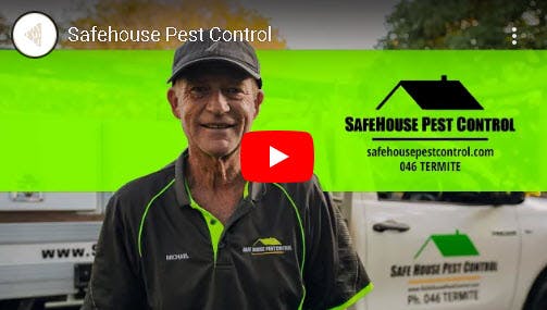 Button for pop up video about Safe House Pest Control